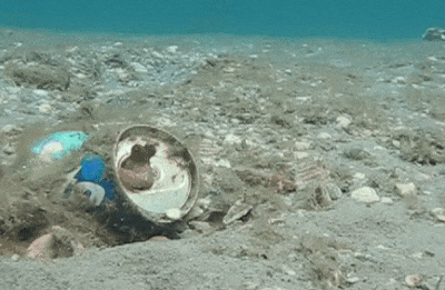 Дайвинг в Хургаде