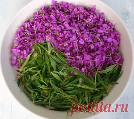 Иван-чай целебный и полезный напиток. Купить в Уфе