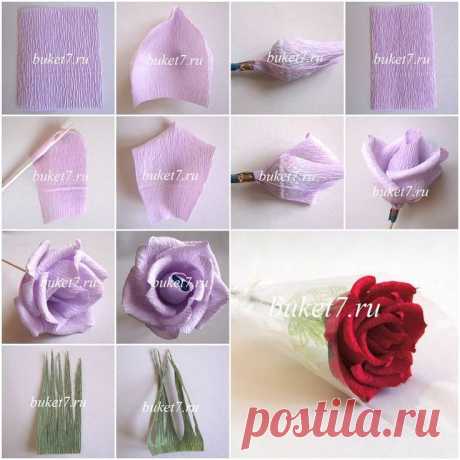 80894a405ce5bb543b1d33347a260e7c.jpg (Изображение JPEG, 736 × 736 пикселов)