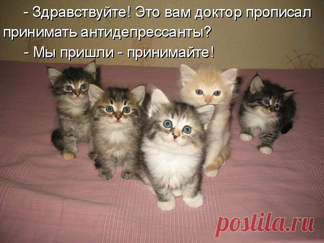 (72) Фитнес для мозга - Хроника