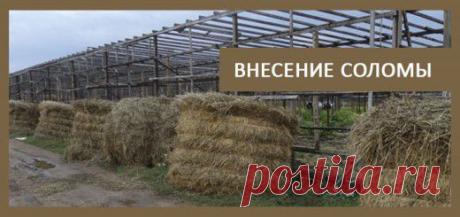 Архивы Уход за землей - TEPLICHNIKI.RU | ВЫРАЩИВАНИЕ ОГУРЦОВ И ТОМАТОВ В ТЕПЛИЦЕ