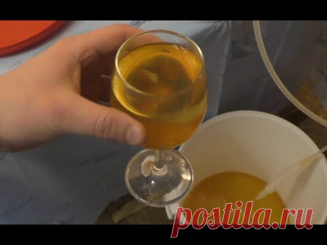 Домашнее вино из яблок. Пошаговый рецепт.