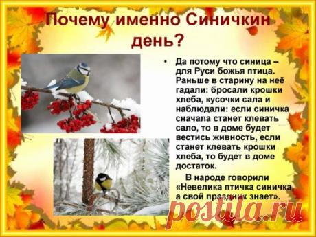 Синичка — символ радости и лёгкости. Пусть этот день принесёт вам мир, уют и приятные мелочи, из которых складывается счастье! А за окном пусть щебечут благодарные гости.
Открытки на Синичкин день