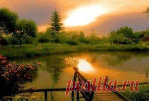 (19) Одноклассники