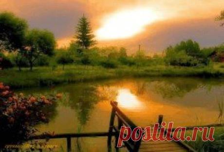 (19) Одноклассники