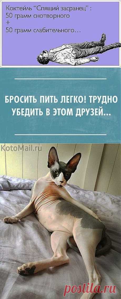 Легкая эротика и другие популярные материалы на Постила.ru - lysenko_oksana1@mail.ru - Почта Mail.Ru