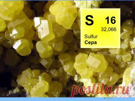 Сера (S, Sulphur) | Кухня Кухня Сера и её соединения сопровождают историю человечества с незапамятных времён. Как правило, использовались не самые приятные запахи – горения серы, сероводорода и сернистого газа, наделяя вещество,