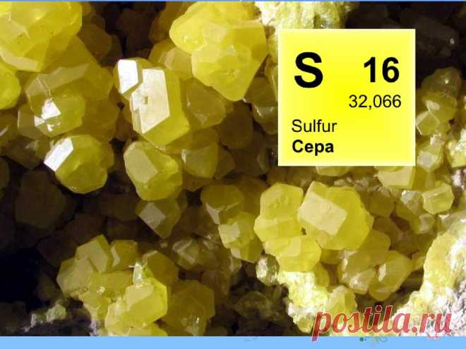 Сера (S, Sulphur) | Кухня Кухня Сера и её соединения сопровождают историю человечества с незапамятных времён. Как правило, использовались не самые приятные запахи – горения серы, сероводорода и сернистого газа, наделяя вещество,