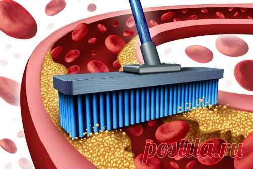 Продукты для очищения крови — Здоровое Долголетие