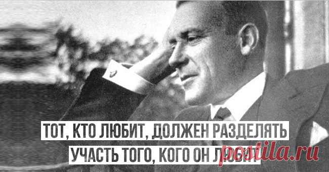 (+1) - 25 жизненных цитат Михаила Булгакова | Полезные советы