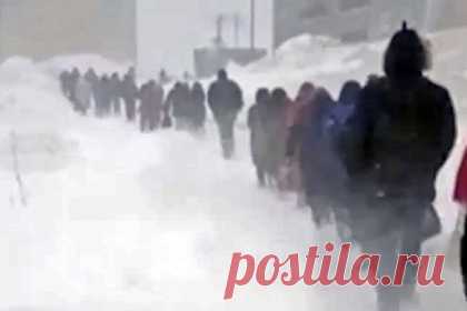 Ходящих гуськом из-за сильной метели россиян сняли на видео. В поселке Ильинское на Сахалине из-за сильной метели жители ходили гуськом. Видео публикует Telegram-канал Amur Mash. На кадрах видно, что из-за метели и сильного ветра люди передвигаются друг за другом, чтобы не потеряться и не утонуть в снегу. Из-за погодных условий видимость практически нулевая.