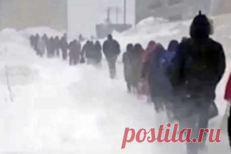 Ходящих гуськом из-за сильной метели россиян сняли на видео. В поселке Ильинское на Сахалине из-за сильной метели жители ходили гуськом. Видео публикует Telegram-канал Amur Mash. На кадрах видно, что из-за метели и сильного ветра люди передвигаются друг за другом, чтобы не потеряться и не утонуть в снегу. Из-за погодных условий видимость практически нулевая.