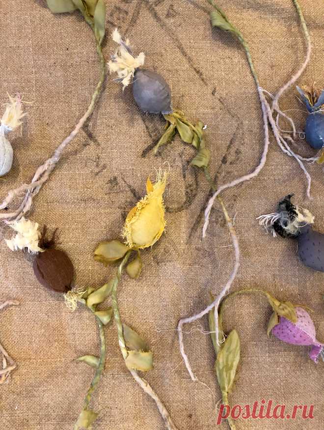seed_pods.jpg (660×875)
