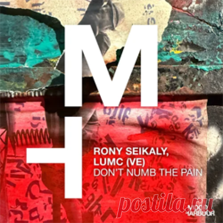 Rony Seikaly, LUMC (VE) - Don't Numb The Pain | 4DJsonline.com