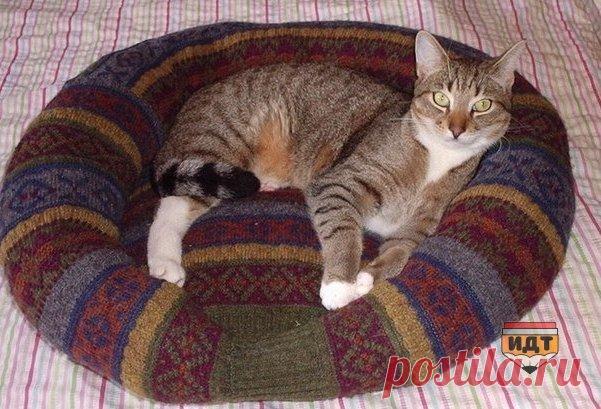 Лежак для кота из старого свитера &#8212; Сияние Жизни