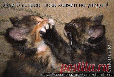 Без слов