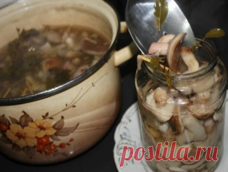 Маринад для грибов (Опят, маслят, белых и т. д. )