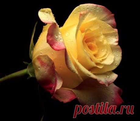 Группы | Facebook