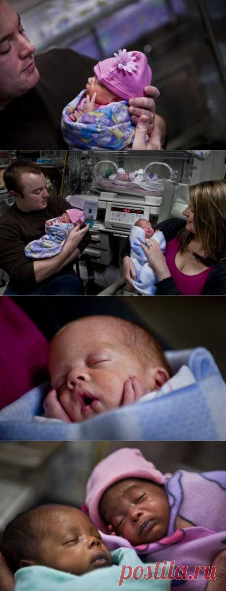 Недоношенные тройняшки • НОВОСТИ В ФОТОГРАФИЯХ
