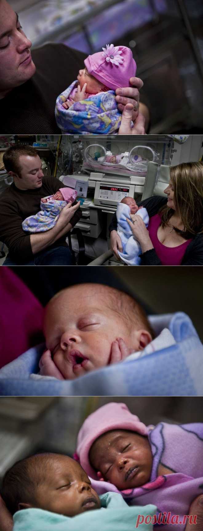 Недоношенные тройняшки • НОВОСТИ В ФОТОГРАФИЯХ