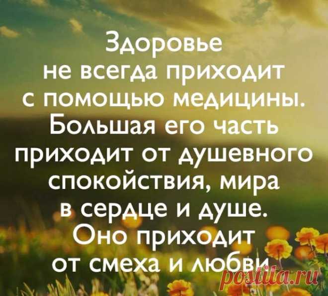 «Рэнкс — Лучшее в сети...» — карточка пользователя Svetlana Bolotova в Яндекс.Коллекциях