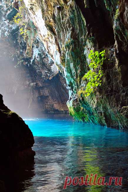 natureac:
“Take The 52 Week Photo Challenge or Check Out DSLR cameras here
”