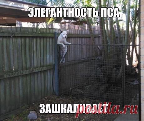 Лилия Советкина | ВКонтакте