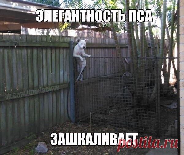 Лилия Советкина | ВКонтакте