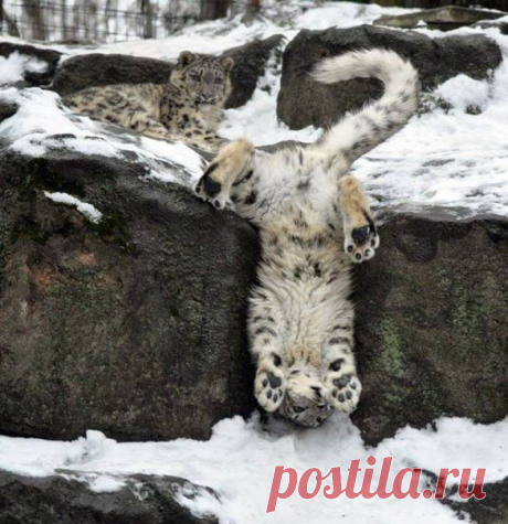 Аааа... Застрял я..... Хоть помоги мне!!!