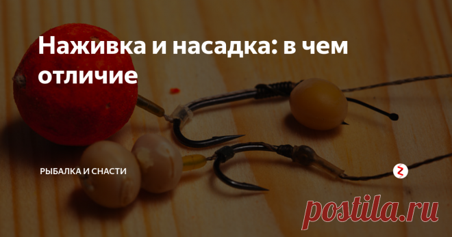 Наживка и насадка: в чем отличие Даже при условии грамотного подхода к приготовлению приманки есть риск использовать ее не по назначению. Чтобы не допустить такой оплошности, следует четко разделять наживку и насадку – это разновидности приманки, каждая из которых действует в определенных условиях. В наживку входят компоненты животного происхождения, в числе которых следующие:
Червь.
Насекомые, а также их личинки.
Птица.