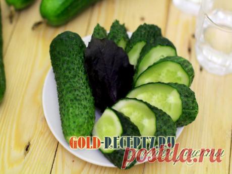 Солёные огурцы на зиму в банках, рецепт хрустящих соленых огурцов на зиму