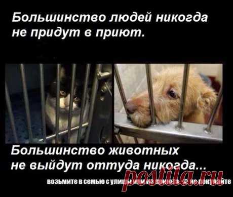 Анастасия-Александровна Разумовская-Волкова