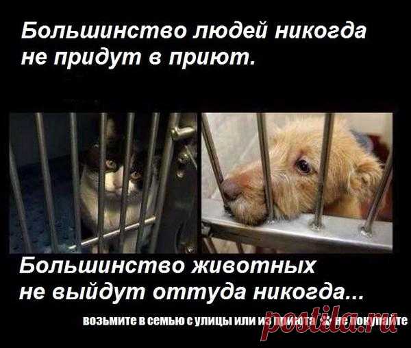 Анастасия-Александровна Разумовская-Волкова