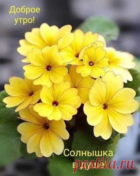 хх