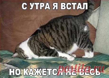 хх