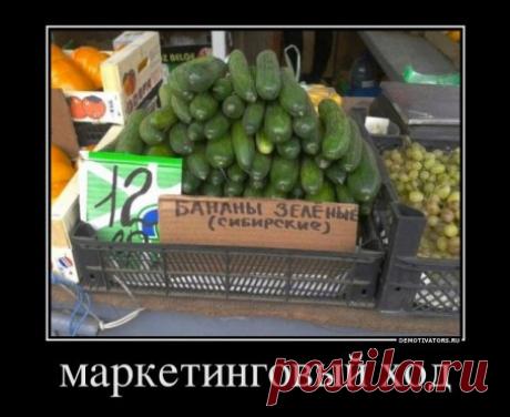 Радион Алборов