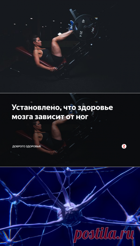 Установлено, что здоровье мозга зависит от ног | Доброго здоровья! | Яндекс Дзен