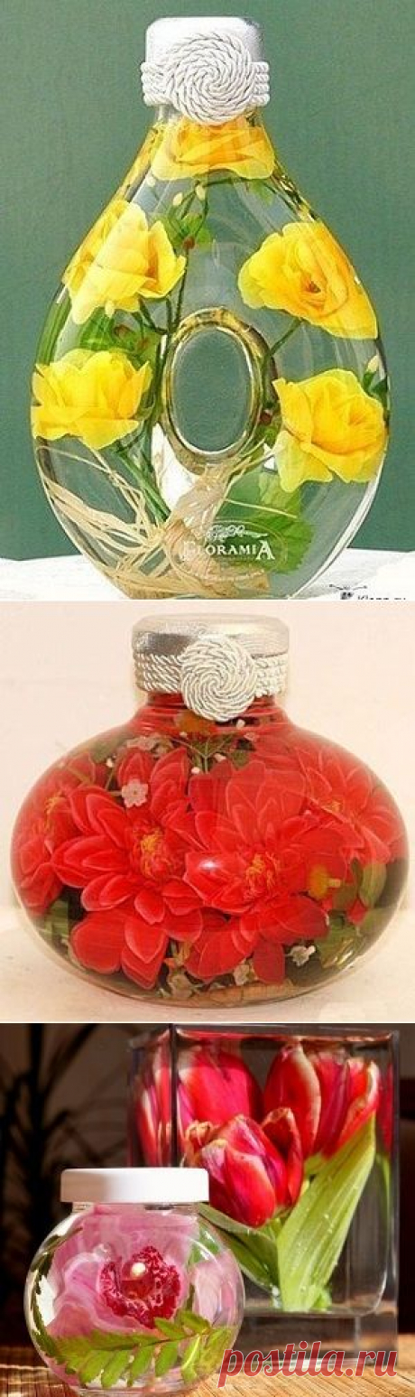 Цветы в глицерине