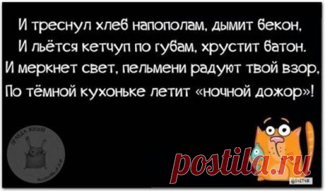 ---, сообщество: Пышки и их любители