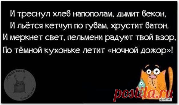 ---, сообщество: Пышки и их любители