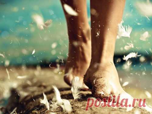 Как начать новую жизнь: 10 действий, которые приведут вас к счастью Принято считать, что для достижения счастья необходимо прилагать много усилий. На самом деле, достаточно совершать несколько простых действий ежедневно.