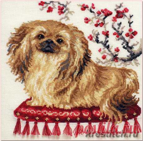 Пекинес арт.1243 Риолис купить в Stitch и Крестик