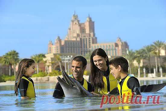 Вот так запросто можно поплавать с дельфинами в Заливе Дельфинов (Dolphin Bay) в отеле Атлантис.
Для тех, кто живет в Атлантис - вход в Залив - со скидкой. Три варианта: на мелкой воде ( для маленьких), на средней- для группы и индивидуальные ( вы один с двумя дельфинами). Все очень приятно и весело!