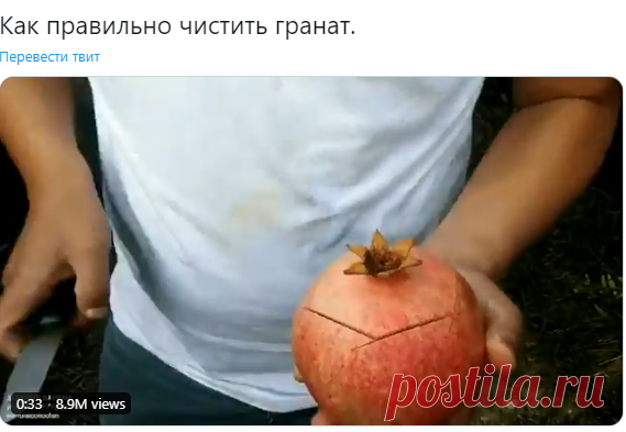 Энергия на шару on Twitter: "Как правильно чистить гранат. https://t.co/a2Dc8eOcAe" / Twitter