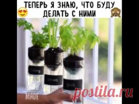 Запись на стене НИКОГДА НЕ ВЫБРАСЫВАЙ СТАРЫЕ БУТЫЛКИ&#33;Вот,что можно сделать...