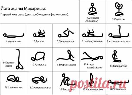 Йога-Асаны | TM