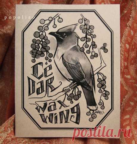 Cedar Waxwing Cards & Envelopes 5-of-a-Feather pack | Etsy