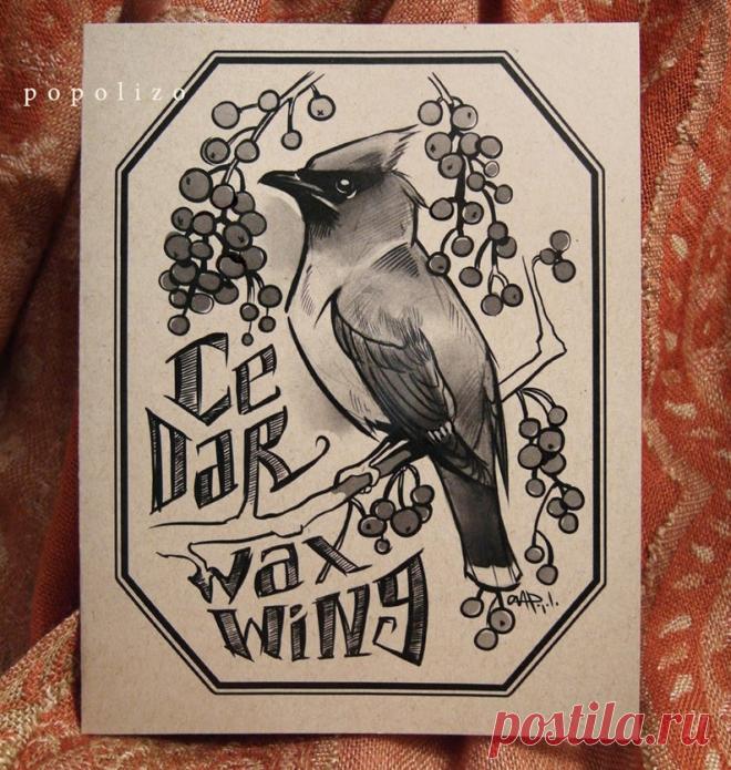 Cedar Waxwing Cards & Envelopes 5-of-a-Feather pack | Etsy
