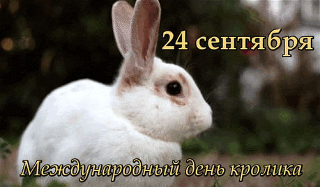 Мой Мир@Mail.Ru