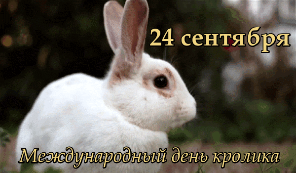 Мой Мир@Mail.Ru